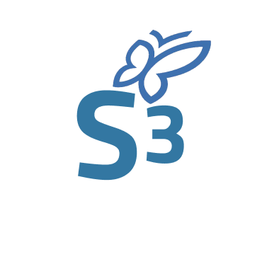 S3 Logo